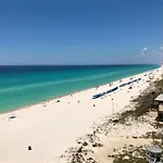 Pelican Walk 1008